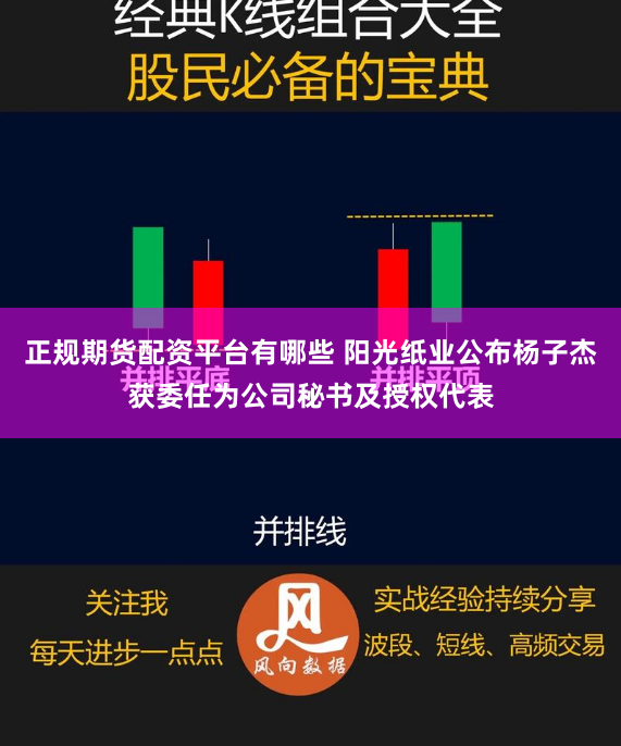 正规期货配资平台有哪些 阳光纸业公布杨子杰获委任为公司秘书及授权代表