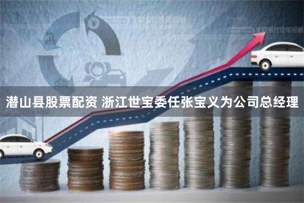 潜山县股票配资 浙江世宝委任张宝义为公司总经理