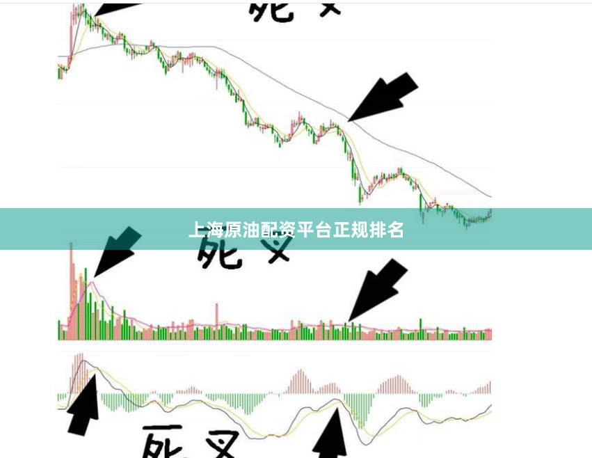 上海原油配资平台正规排名