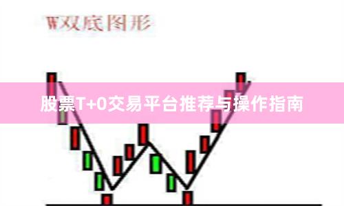 股票T+0交易平台推荐与操作指南