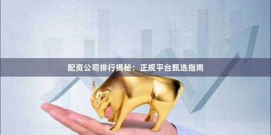 配资公司排行揭秘：正规平台甄选指南